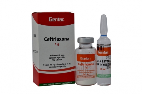 ceftriaxona 500mg gf amp